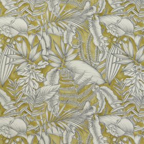 Caicos Curtain Fabric Kiwi