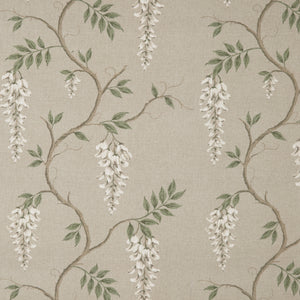 Wisteria of the Orangerie Blanc From £22.99