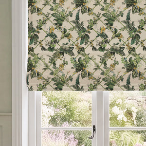 HOUSE LLB COTSWOLD FANTASIA From £16.99