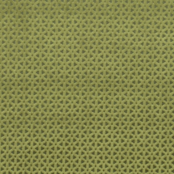 Clarke & Clarke Loreto Fabric Olive