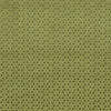 Clarke & Clarke Loreto Fabric Olive