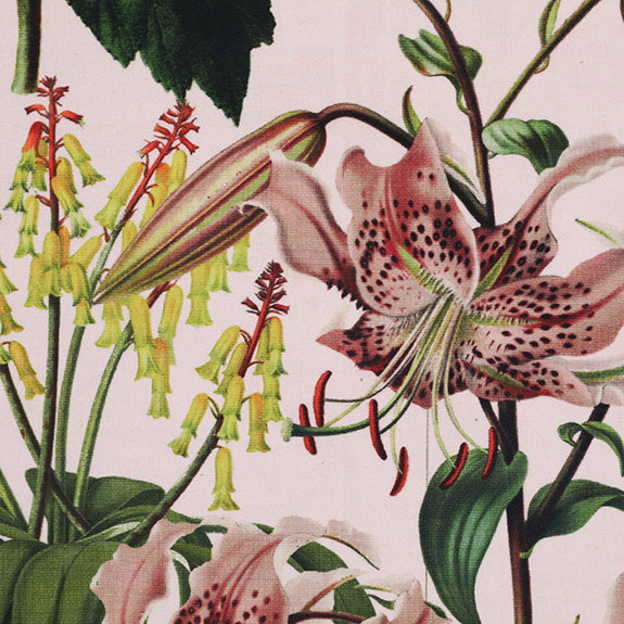 Linda Barker Grandi Floral Velvet Fabric Champagne
