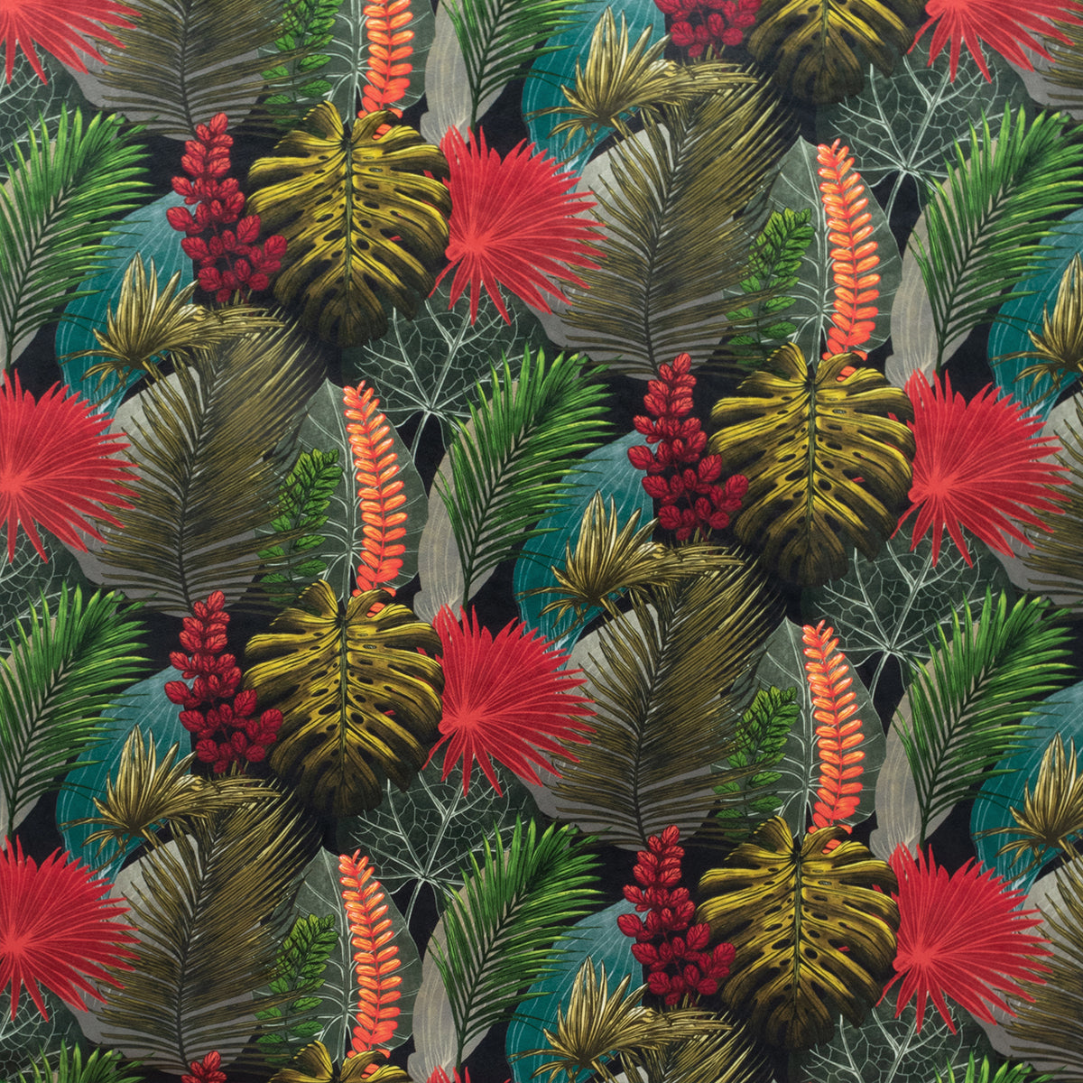 Toucan Fibre Naturelle Rainforest Velvet Fabric | Terrys