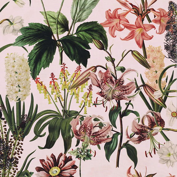 Linda Barker Grandi Floral Velvet Made To Measure Curtains Champagne