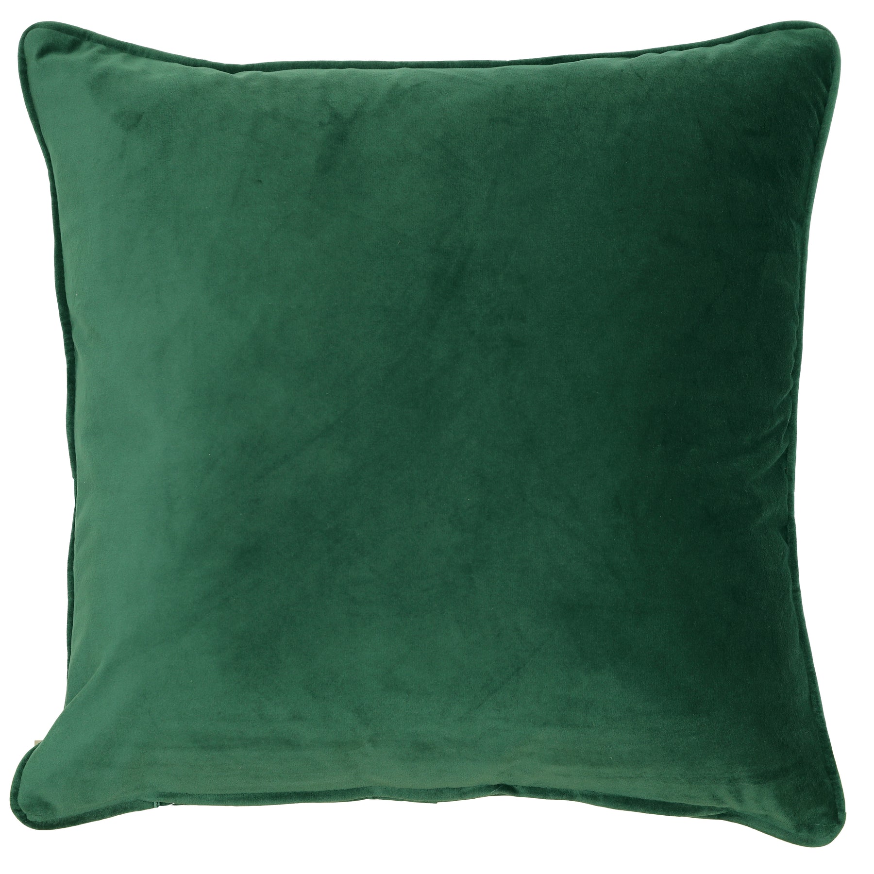 Linda Barker Grandi Floral Velvet 45cm x 45cm Filled Cushion Celadon