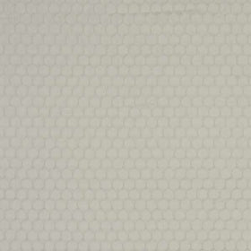 Neon Curtain Fabric Dove