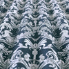Pantera Fabric Indigo