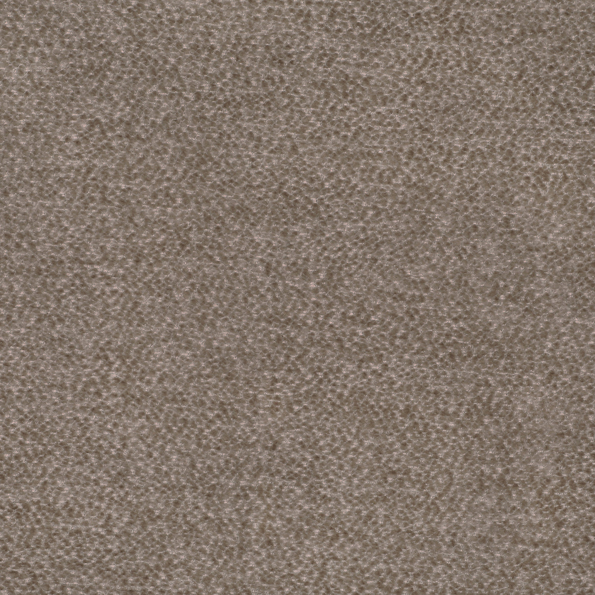 Linda Barker Rica Fabric Antelope