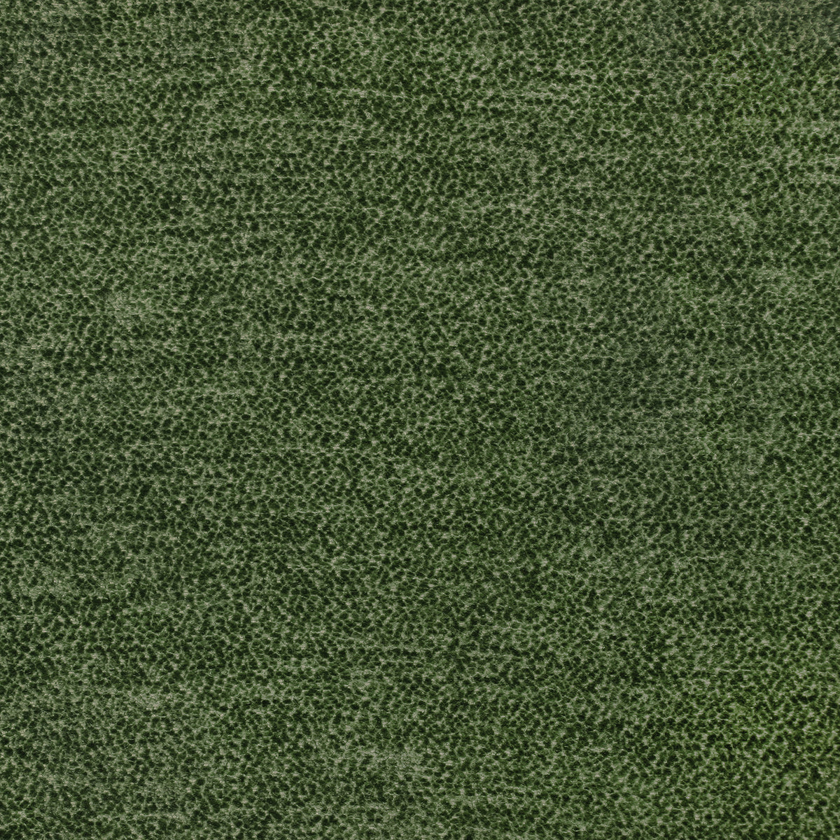 Linda Barker Rica Fabric Olive