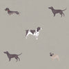 Sophie Allport Woof Made to Measure Roman Blind Linen