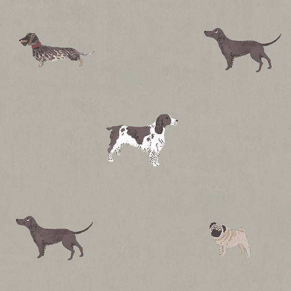 Sophie Allport Woof Made to Measure Roller Blind Linen