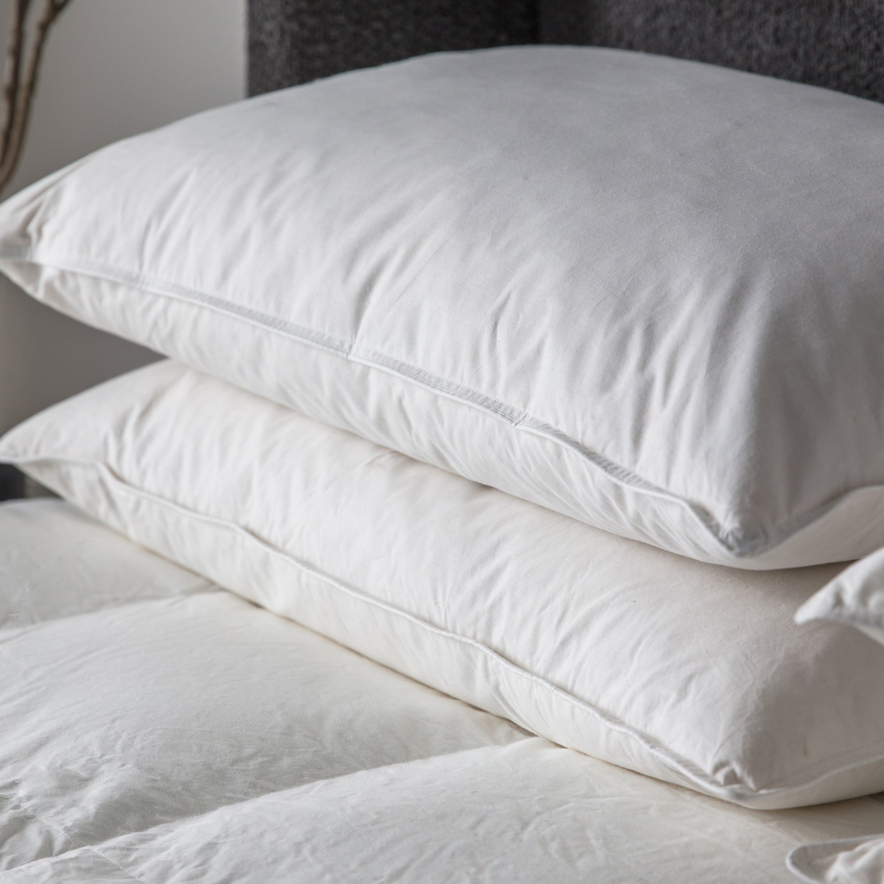 Anti Allergy Microfibre 48cm x 74cm Pillow White