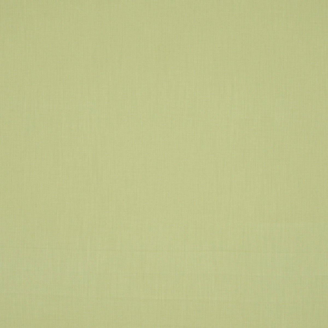 Savanna Fabric Pampas