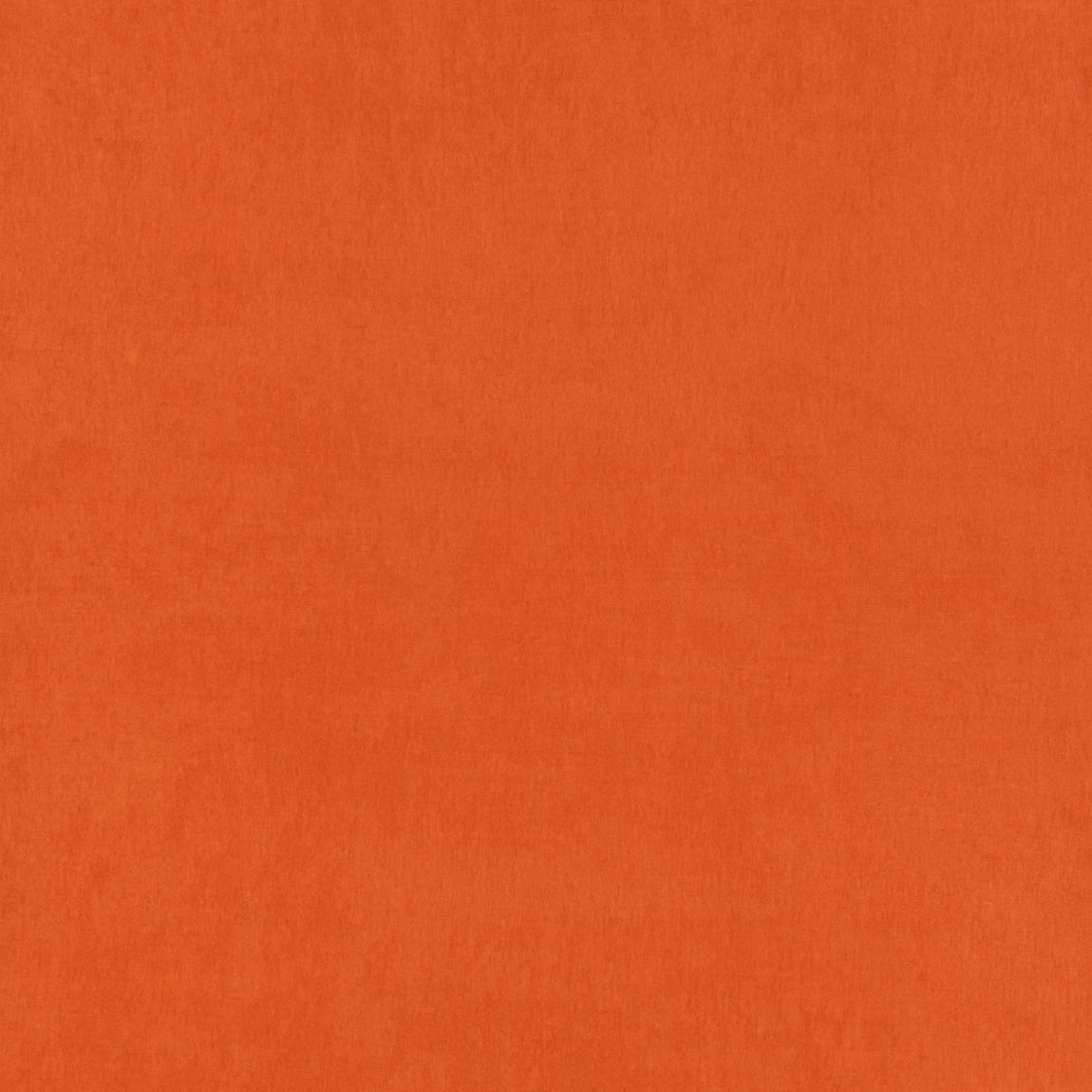 Belvoir Recycled Fabric Burnt Orange