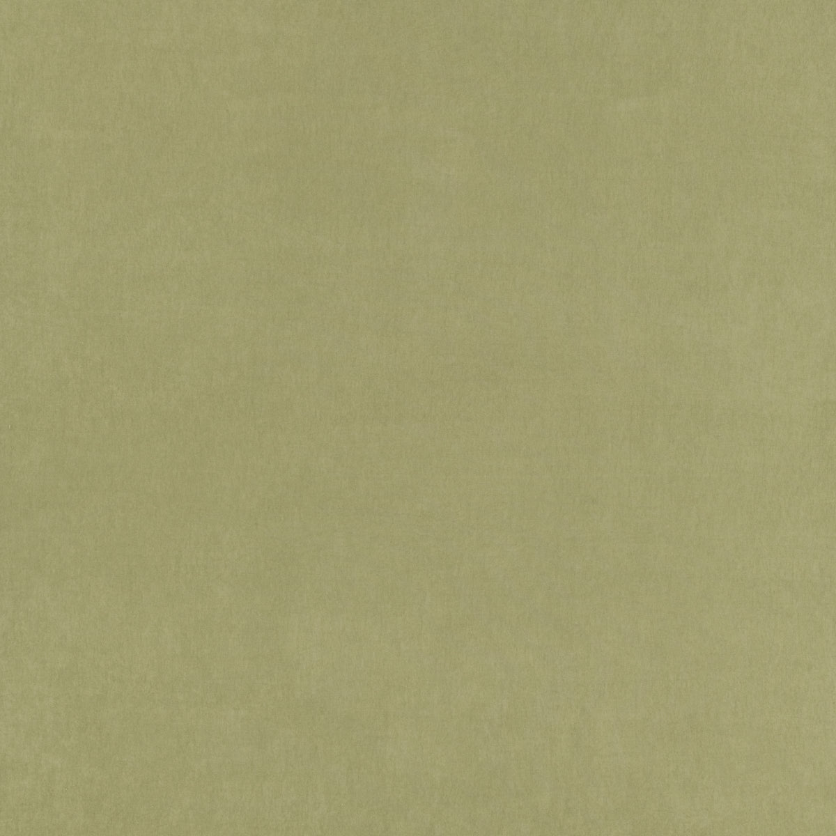 Belvoir Recycled Fabric Pampas