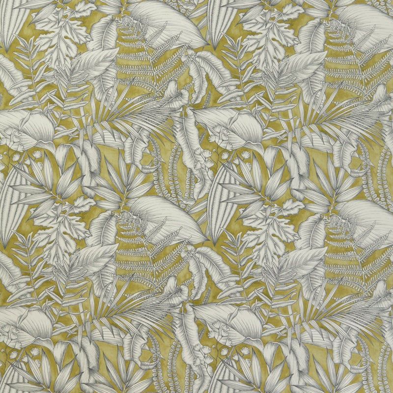 Caicos Curtain Fabric Kiwi