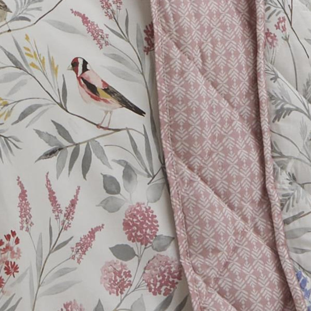 Dreams & Drapes Caraway 200cm x 230cm Bedspread Pink