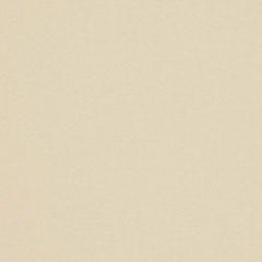 Plain Voile Curtain Fabric Cream