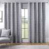 Dakota Ready Made Eyelet Curtains Silver