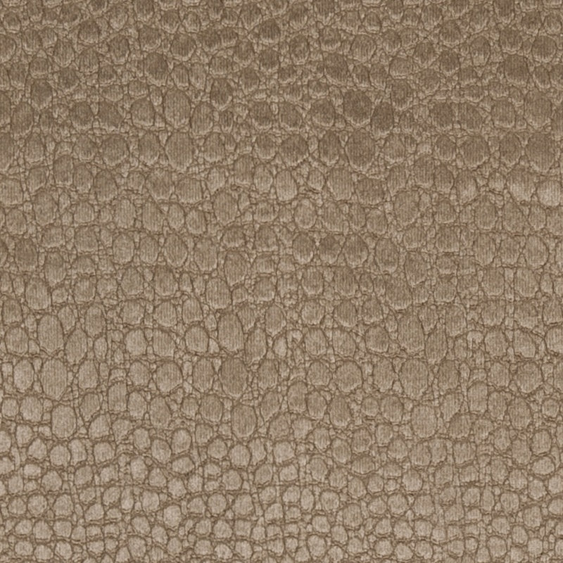 Clarke & Clarke Pulse Fabric Taupe