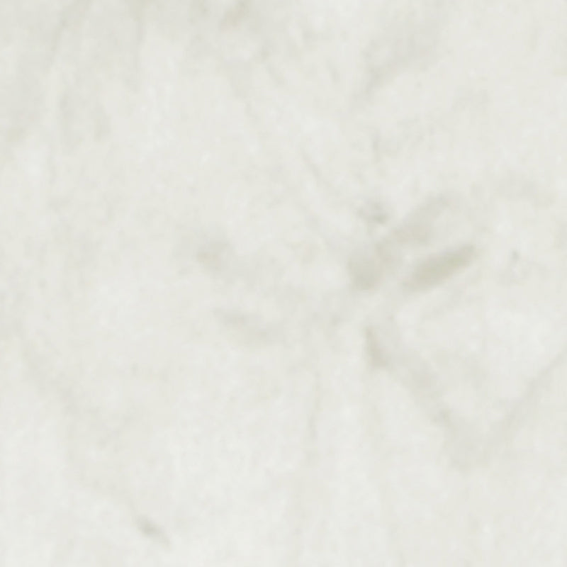 Clarke & Clarke Sylvana Fabric Oyster