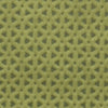 Clarke & Clarke Loreto Fabric Olive