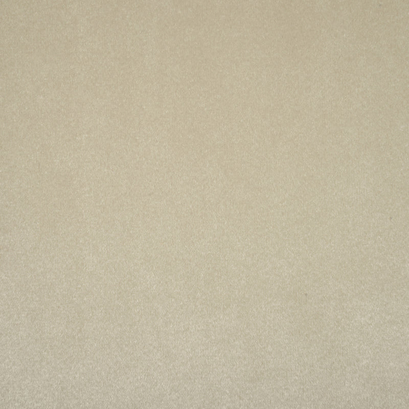 Glamour Velvet Fabric Natural