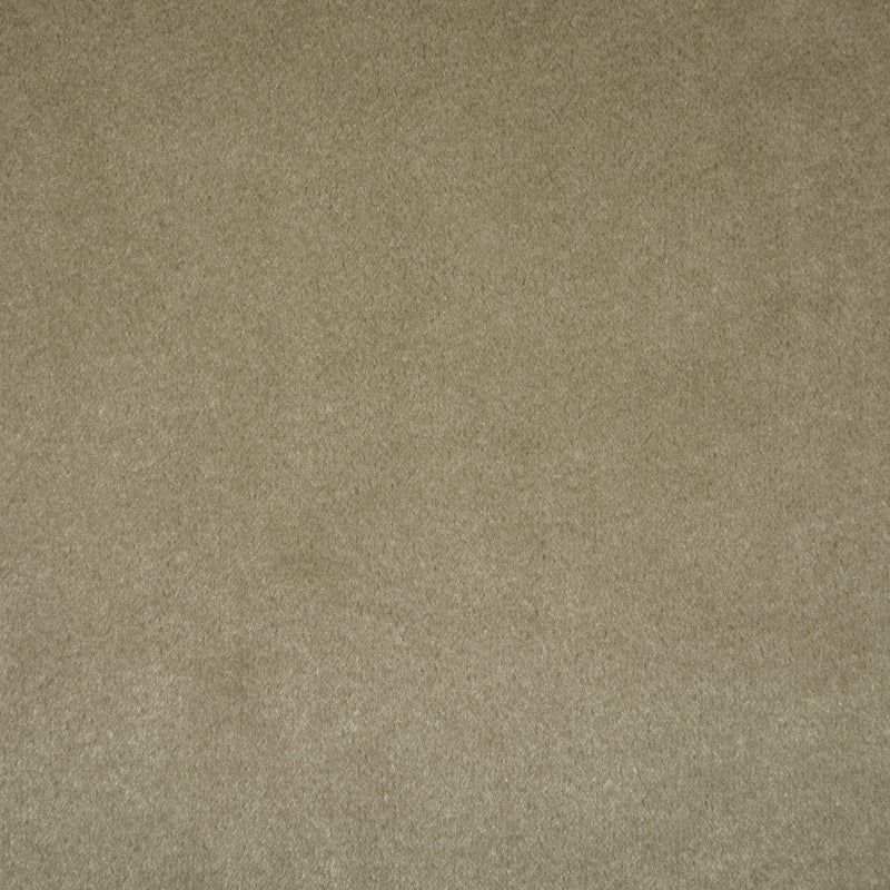 Glamour Velvet Fabric Willow