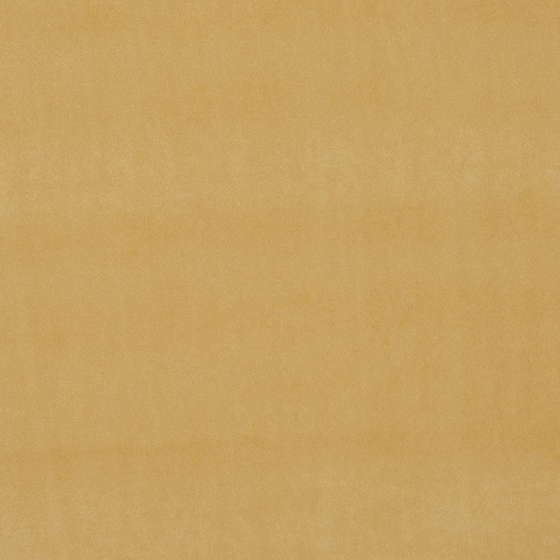 Clarke & Clarke Alvar Velvet Fabric Gold