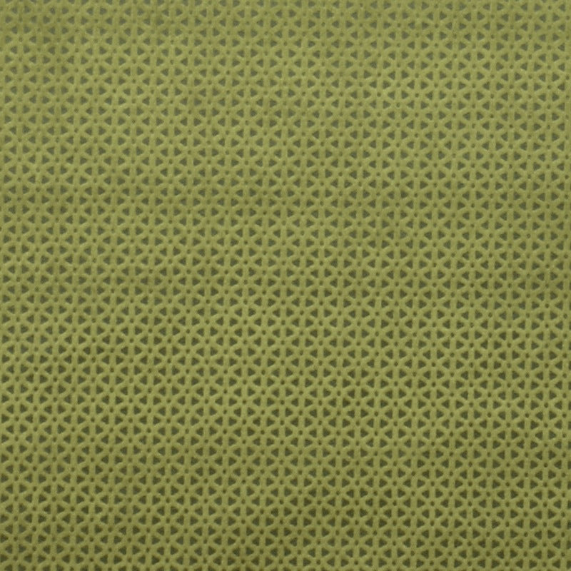 Clarke & Clarke Loreto Fabric Olive