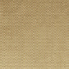 Clarke & Clarke Loreto Fabric Gold