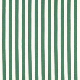 Clarke & Clarke Portland Fabric Green