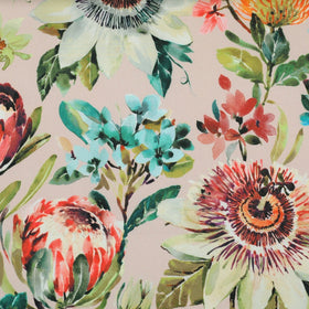 Clarke & Clarke Paradise Fabric Blush