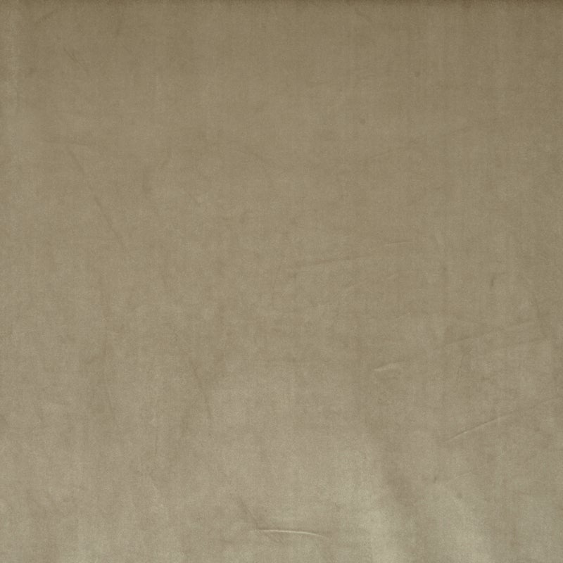 Glamour Velvet Fabric Willow