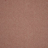 iLiv Hindi Fabric Carnelian