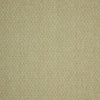 iLiv Hindi Fabric Pistachio
