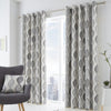 Fusion Lennox Ready Made Eyelet Curtains Grey
