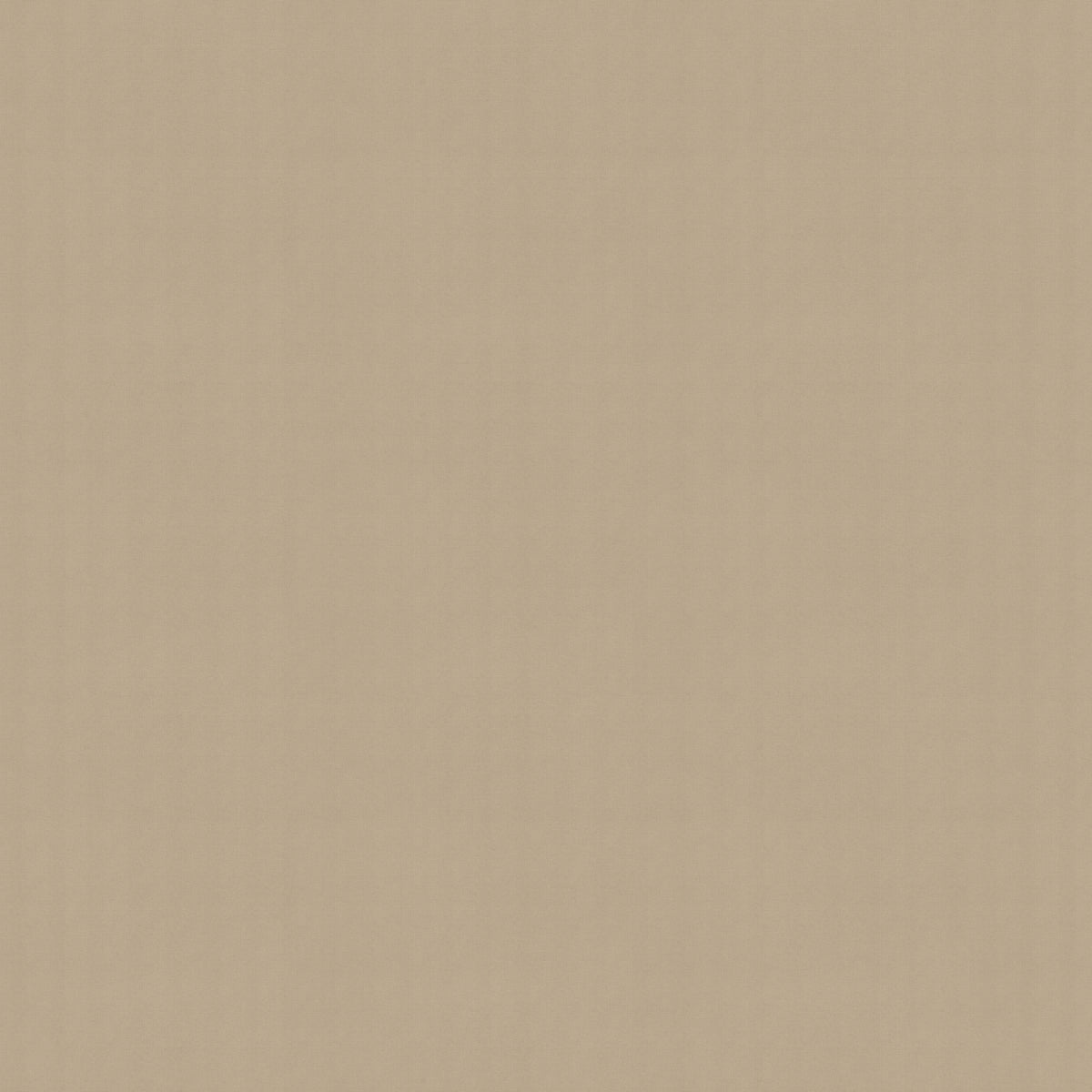 Olympus Translucent Made to Measure Roller Blind Beige