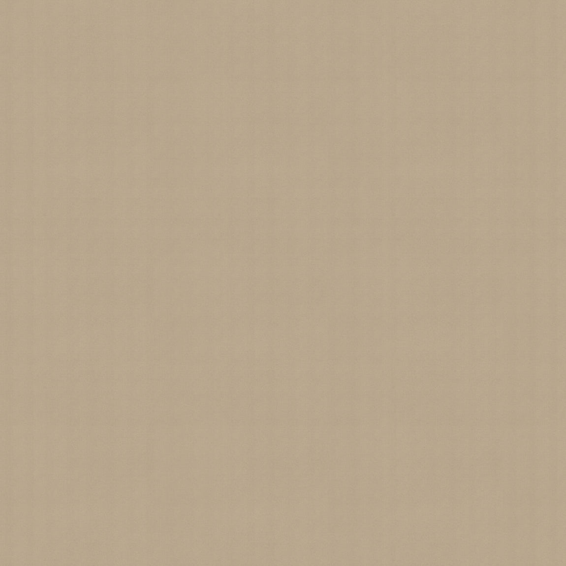 Olympus Translucent Made to Measure Roller Blind Beige