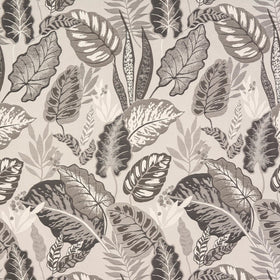 Mendoza Fabric Dove