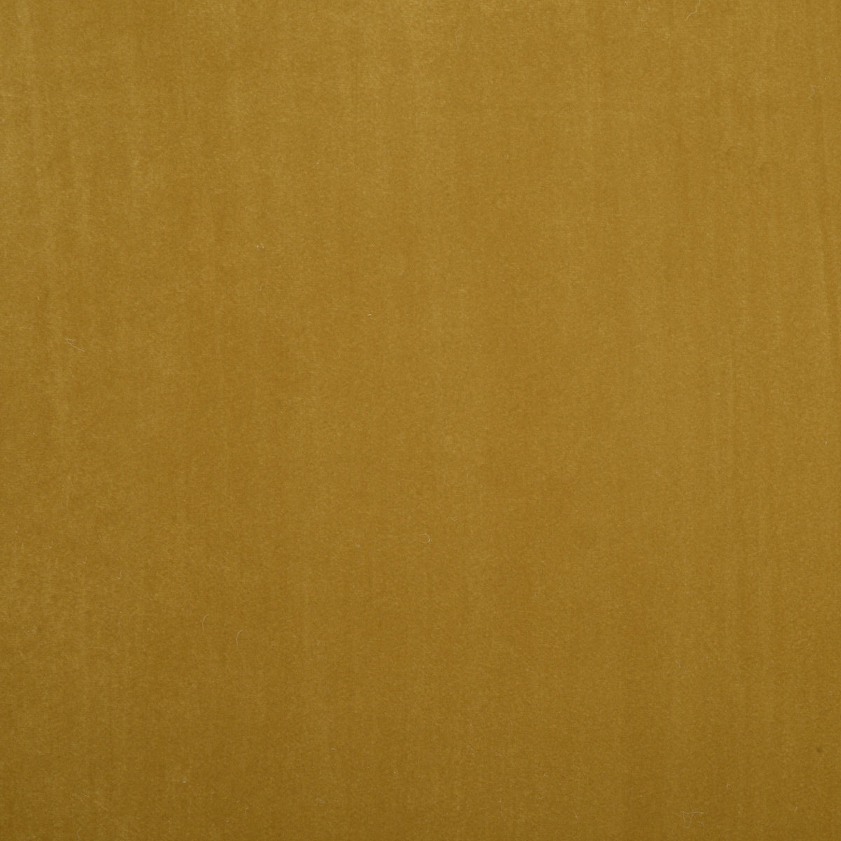 ANTE DECOR Naples Heavy Velvet Fabric Mustard