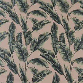 iLiv Palmaria Fabric Lotus