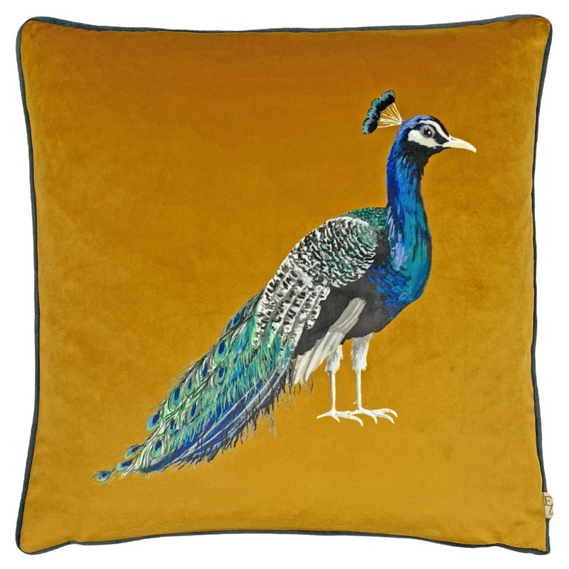 Peacock Filled Cushion 43cm x 43cm Saffron