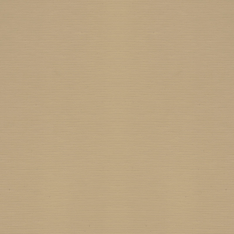 Primary Made to Measure Blackout Roller Blind Moth Latte